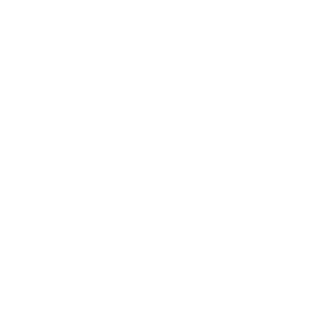 02IconTempWhite